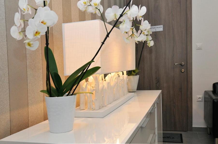 Silver Beach Apartments شيوفوك المظهر الخارجي الصورة